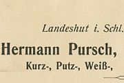 Pursch